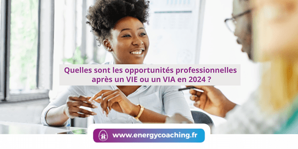 Quelles sont les emplois après un VIE