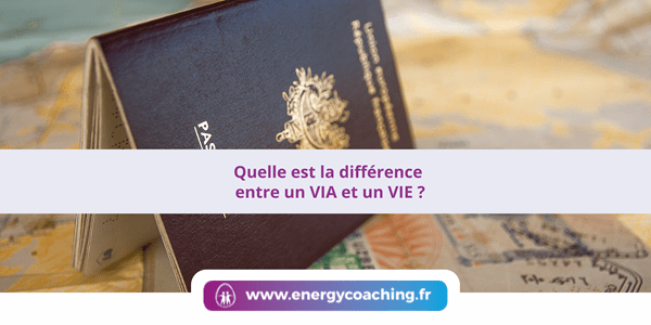 Quelle est la différence entre un VIA et un VIE ?